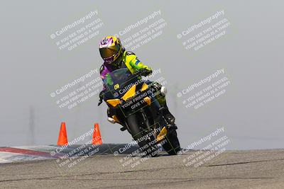 media/Feb-10-2023-TrackDaz (Fri) [[827c11d241]]/C Group/1245pm (Outside Grapevine)/